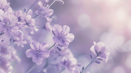 Fototapeta premium Abstract floral backdrop of purple flowers over pastel colors with soft style for spring or summer time Banner background with copy space : Generative AI