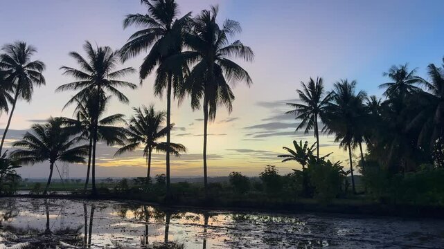 Panaromic Soppeng Morning View Moving Up