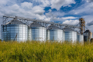 silos on agro-industrial complex with seed cleaning and drying line for grain storage. Granary elevator