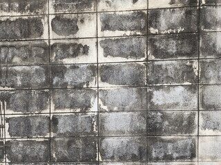 The old brick wall has traces of moss or black mold all over the area. Black mold can be caused by moisture accumulated in walls, dirt, areas where sunlight cannot reach. Should apply anti-fungal 

