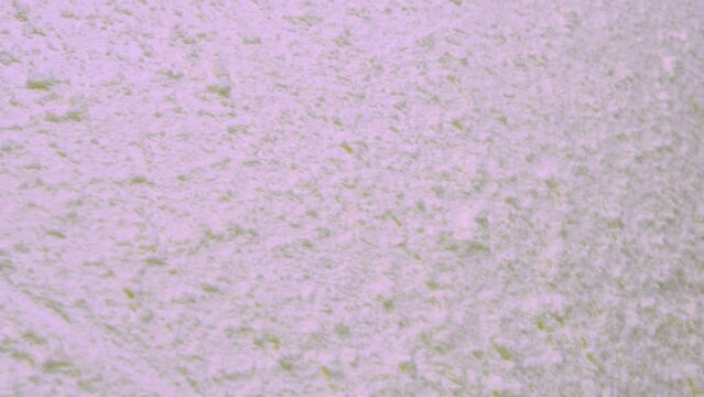 Paper production. Washing and bleaching of pulp from hardwood. Pulp production