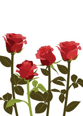 rose