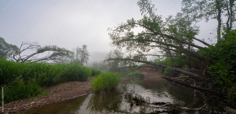 Poster a foggy morning with a river and trees in the background. the trees are bare and the water is calm