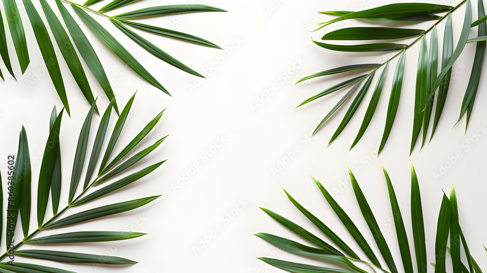Poster green palm leaf branches on white background flat lay top view : generative ai