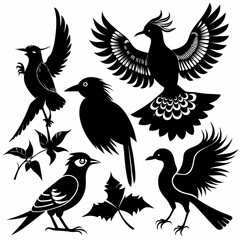 Obraz premium set of birds