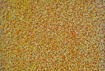 Pattern, close up and creative texture for wallpaper, backdrop and abstract design or detail. Cells, coral reef and algae or grain under microscope for innovation, testing and research in laboratory