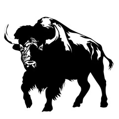 Vector illustration of buffalo silhouette for you design and all media