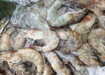 Banana prawn in stainless steel ice tray on the stall in the fresh market of Thailand.