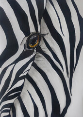 zebra close up portrait with the eye as main focus 