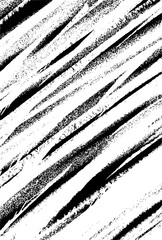 Scribble Hand Drawn in Chalk on Transparent Background - Original Chalk Drawings Perfect for Seasonal and Event Marketing