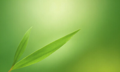 Fototapeta premium A solid green background with gradient shading