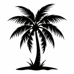 palm tree silhouette