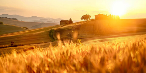 Fototapeta premium breathtaking view of a golden wheat field glowing in the warm light of sunrise with hills in the background.