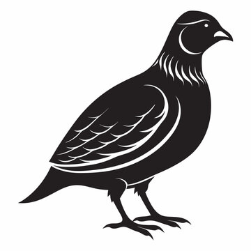 recommend clip art: quail silhouette icon vector illustration isolated