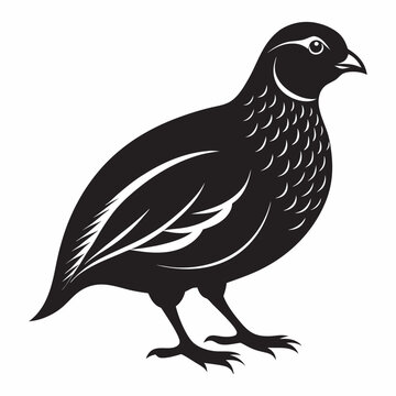 black quail bird silhouette on white clip art preview