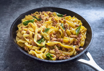 Homemade Udon with tofu in a frying pan