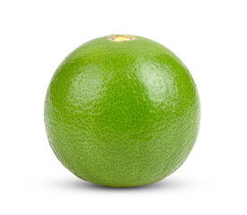 Lime isolated on  transparent png
