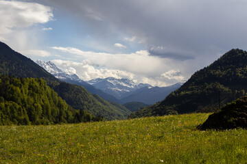 Obraz premium Berge und Wiesen