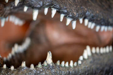 Close up of teeth on an alligator statue, crocodile mouth close up. 