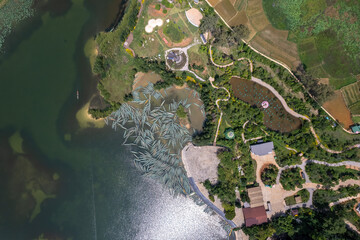 Serene Aerial View of Lakeside Garden Park