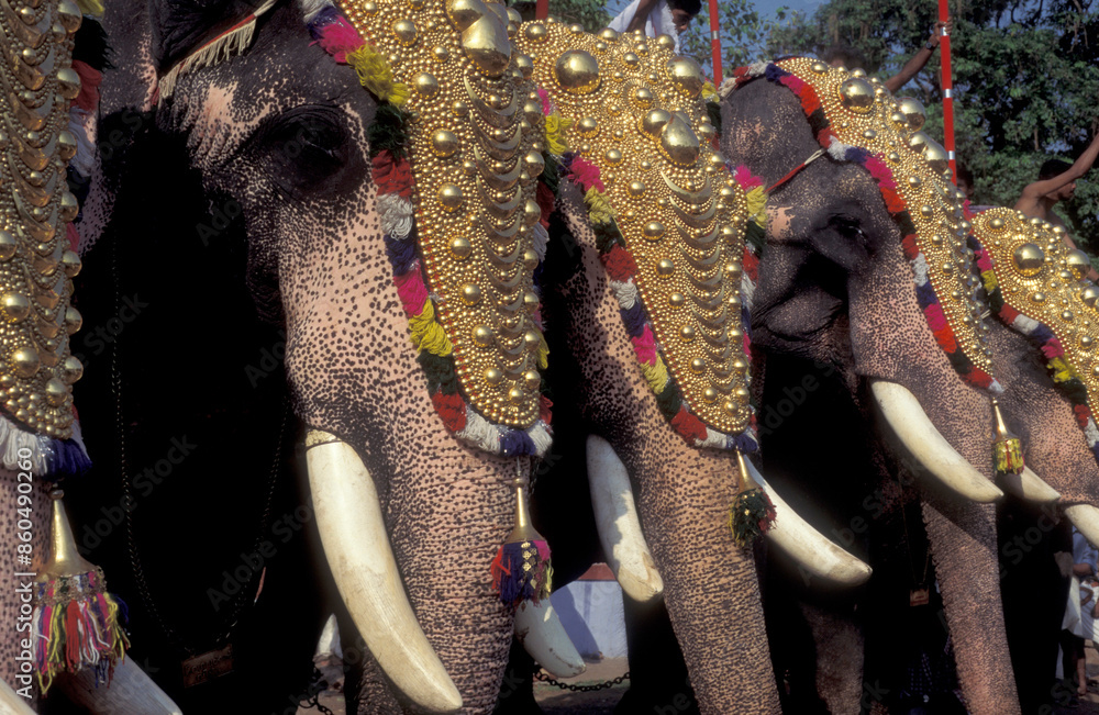 Sticker INDIA KERALA THRISSUR POORAM ELEPHANT FESTIVAL