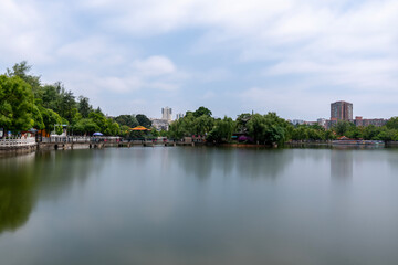 Tranquil Lake in Urban Park Setting
