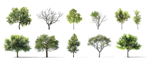 Set of different green trees isolated on white background