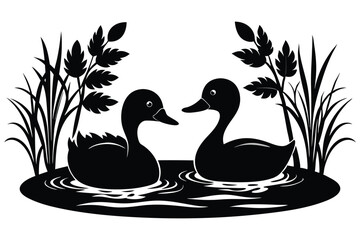 A pair of ducks swimming in a pond C.eps
