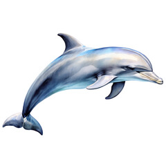 Obraz premium watercolour clipart illustration Bottlenose Dolphin