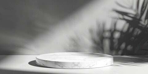 White Plate and Plant on Table