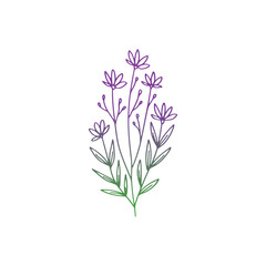 Obraz premium stem and leaf line vector logo design