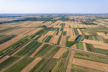 Expansive Aerial Farmland View
