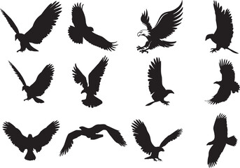 Eagle swoop attack, hand drawn hawk bird icons set. Eagle in high resolution as a symbol of height, strength and power. Attacking eagle flying in the sky with a large wingspans.