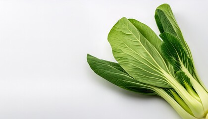 Bok Choy - a type of Chinese cabbage, used as food. Chinensis varieties do not form heads and have green leaf blades . Asian cooking vegetable food and broth concept. isolated on white background