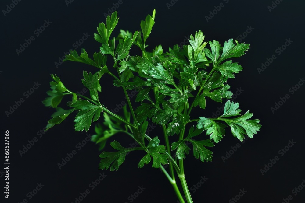 Poster a close-up shot of a bunch of green leaves, great for using as a background or adding texture to an 