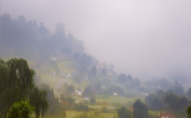 Misty Mountain Landscape with Dense Forest