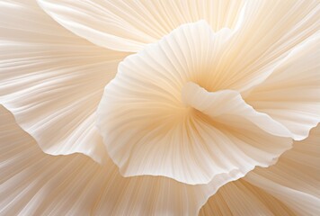 Macro Texture Background of a Petal