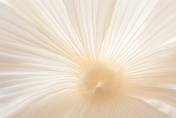 Macro Texture Background of a Petal