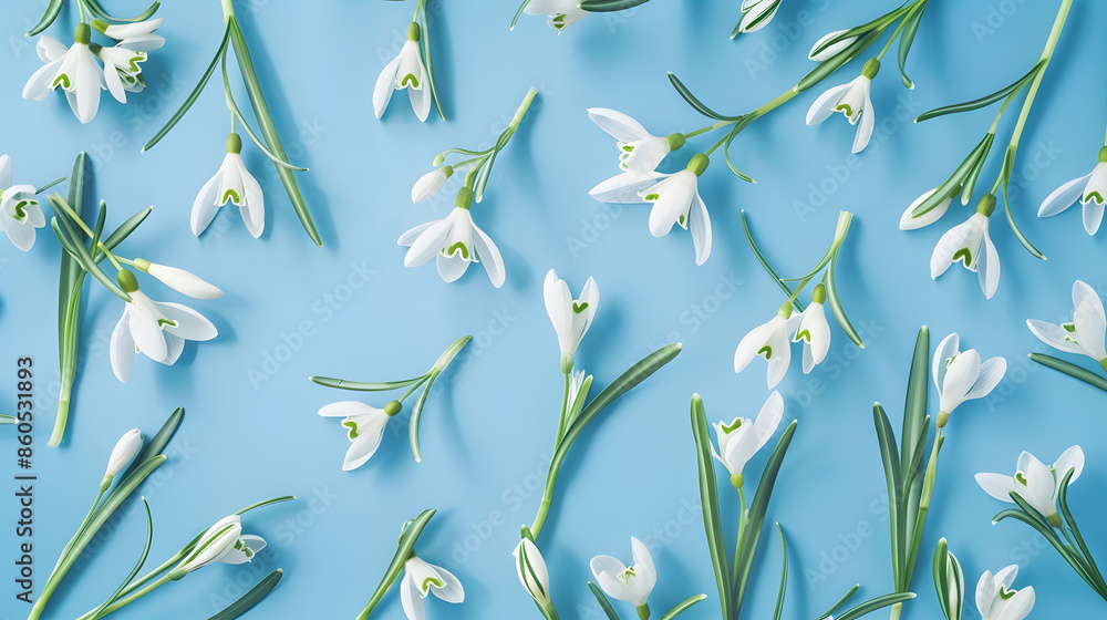 Poster Creative layout made with snowdrop flowers on bright blue  background Flat lay Spring minimal concept : Generative AI