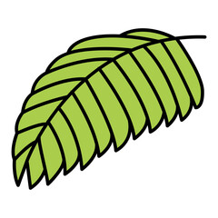 Palm Leaf, Coconut leaf icon