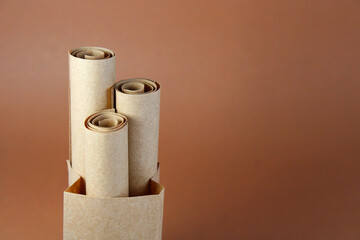 Brown bag with rolls of recycled craft paper