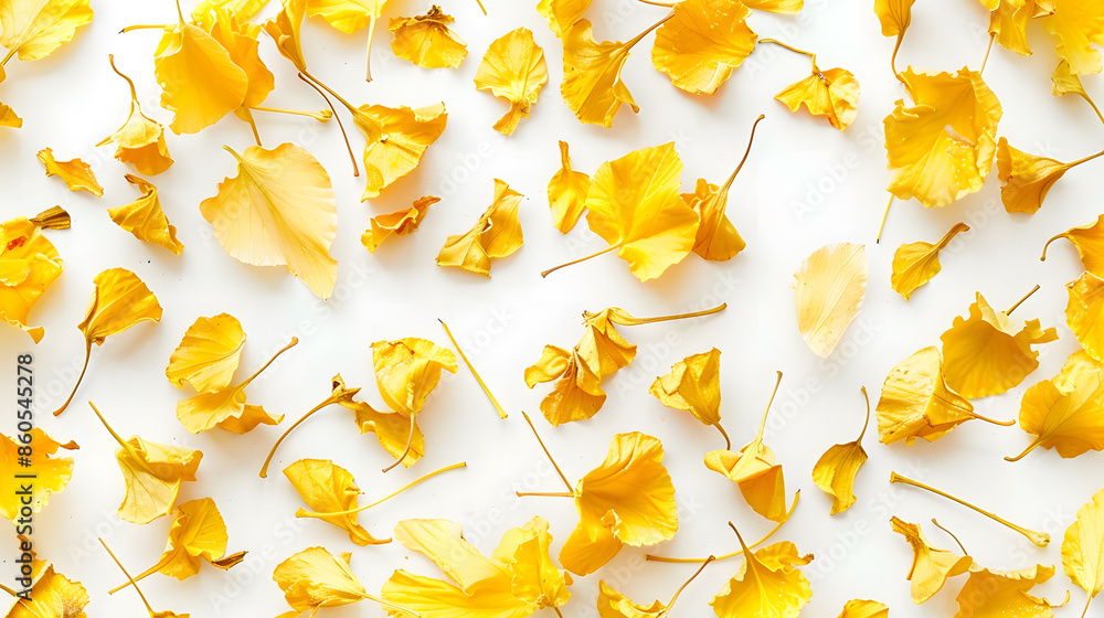 Poster yellow dry flowers branches leaves and petals pattern isolated on white background flat lay overhead view : Generative AI