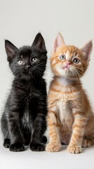Fototapeta premium Adorable Kittens on White Background, Perfect for Pet Lovers Generative AI