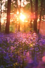 Fototapeta premium purple flower field in forest