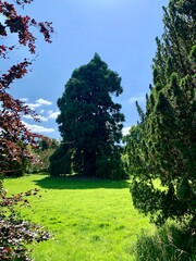 Obraz premium Arboretum de la vallée aux loups à Châtenay-Malabry, France 