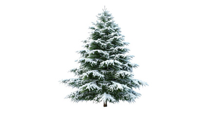 Coniferous tree with snow on a transparent background