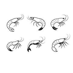 Shrimp silhouette sea animal. Vector sketch illustration.