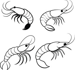 Shrimp silhouette sea animal. Vector sketch illustration.