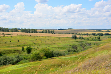 Fototapeta premium a valley with fields and trees and a sky with clouds