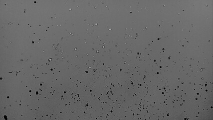 Monochrome texture with drops. Trendy modern texture foto